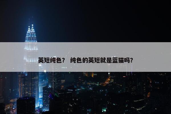 英短纯色? 纯色的英短就是蓝猫吗?