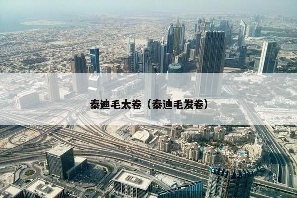 泰迪毛太卷（泰迪毛发卷）