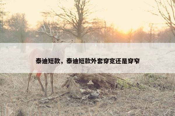 泰迪短款，泰迪短款外套穿宽还是穿窄
