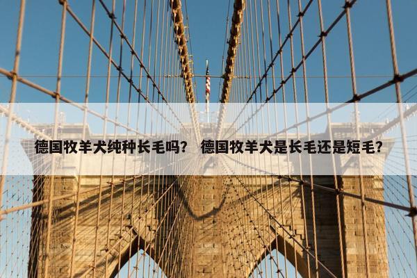 德国牧羊犬纯种长毛吗? 德国牧羊犬是长毛还是短毛?