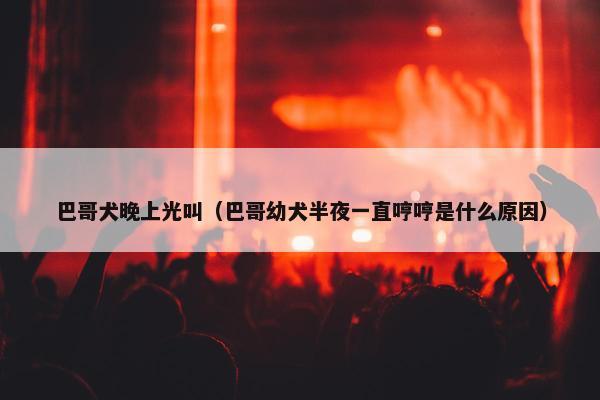 巴哥犬晚上光叫（巴哥幼犬半夜一直哼哼是什么原因）