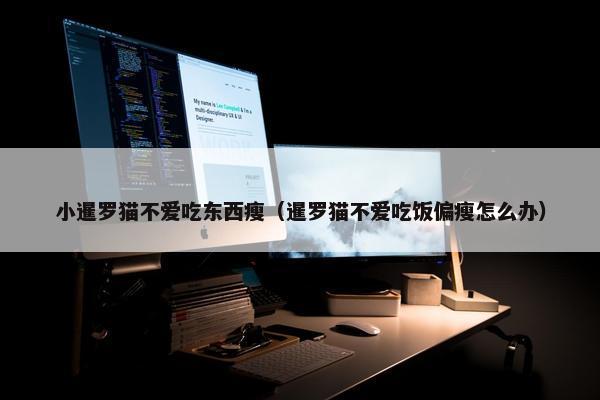 小暹罗猫不爱吃东西瘦（暹罗猫不爱吃饭偏瘦怎么办）