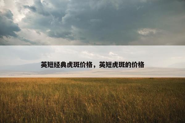 英短经典虎斑价格，英短虎斑的价格