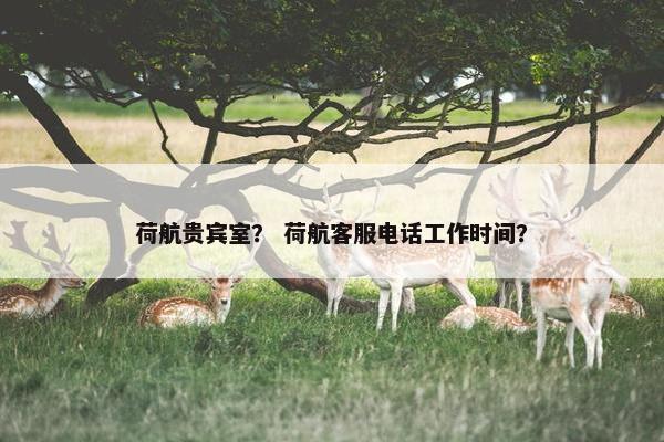 贵宾 第10页
