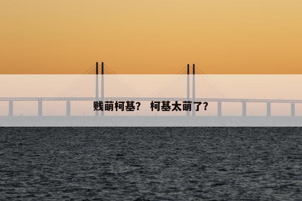 贱萌柯基？ 柯基太萌了？