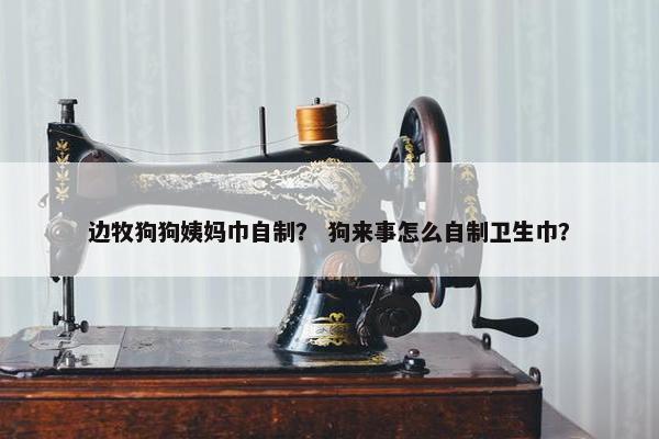 边牧狗狗姨妈巾自制？ 狗来事怎么自制卫生巾？