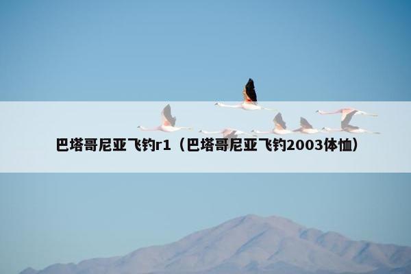 巴塔哥尼亚飞钓r1（巴塔哥尼亚飞钓2003体恤）