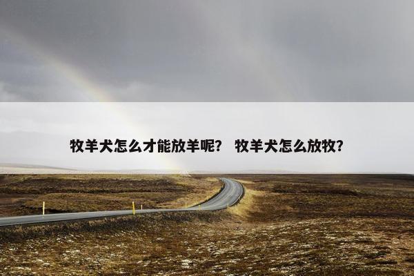 牧羊犬怎么才能放羊呢? 牧羊犬怎么放牧?