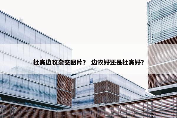 杜宾边牧杂交图片? 边牧好还是杜宾好?