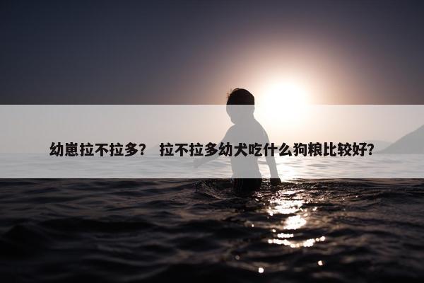幼崽拉不拉多？ 拉不拉多幼犬吃什么狗粮比较好？