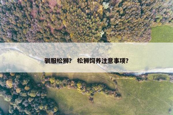 驯服松狮？ 松狮饲养注意事项？