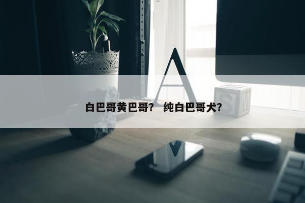 白巴哥黄巴哥？ 纯白巴哥犬？