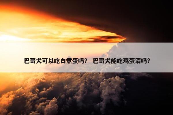 蛋清