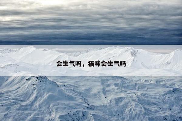 会生气吗，猫咪会生气吗
