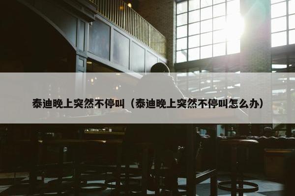 泰迪晚上突然不停叫（泰迪晚上突然不停叫怎么办）