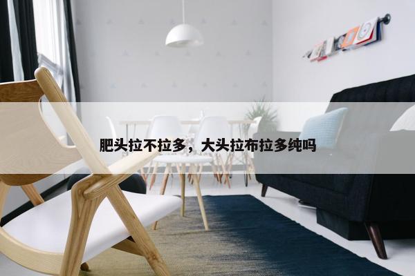 肥头拉不拉多，大头拉布拉多纯吗