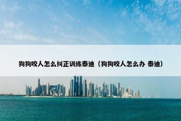 狗狗咬人怎么纠正训练泰迪（狗狗咬人怎么办 泰迪）