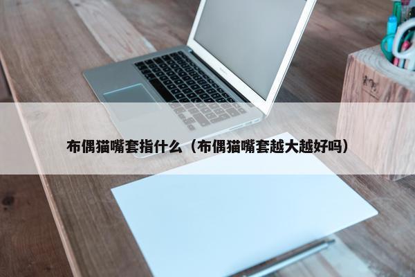 布偶猫嘴套指什么（布偶猫嘴套越大越好吗）