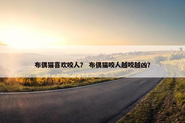 布偶猫喜欢咬人？ 布偶猫咬人越咬越凶？
