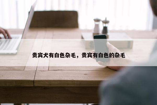 贵宾犬有白色杂毛，贵宾有白色的杂毛