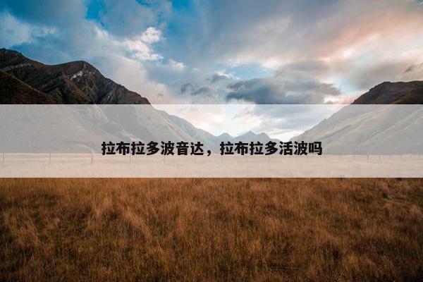 拉布拉多波音达，拉布拉多活波吗