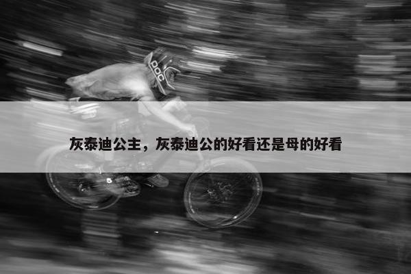 灰泰迪公主，灰泰迪公的好看还是母的好看