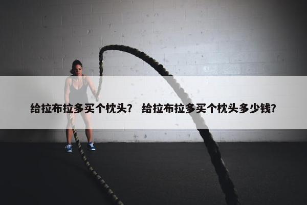 给拉布拉多买个枕头？ 给拉布拉多买个枕头多少钱？