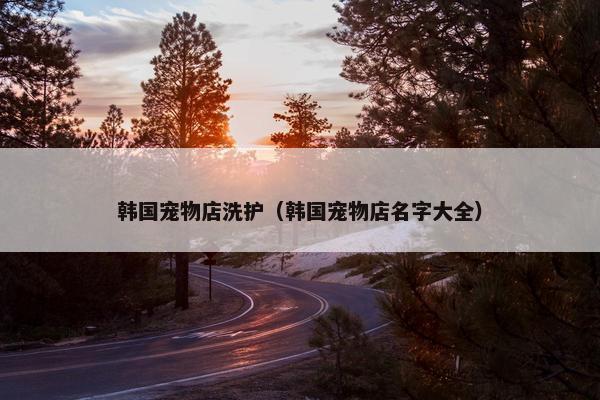 韩国宠物店洗护（韩国宠物店名字大全）