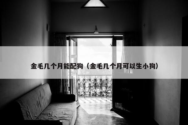 金毛几个月能配狗（金毛几个月可以生小狗）