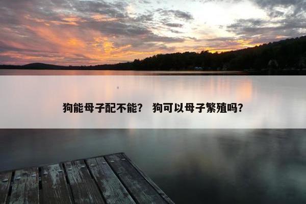 狗能母子配不能? 狗可以母子繁殖吗?