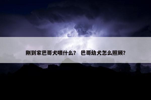 刚到家巴哥犬喂什么？ 巴哥幼犬怎么照顾？