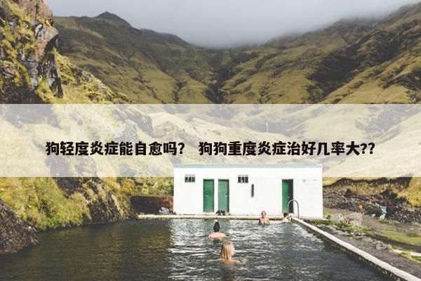 狗轻度炎症能自愈吗? 狗狗重度炎症治好几率大??