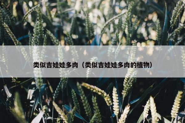 石莲