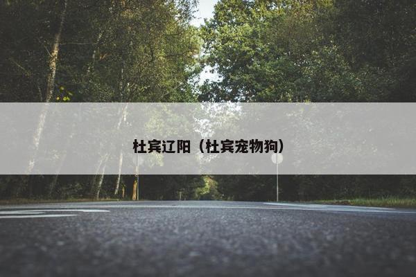 吕布
