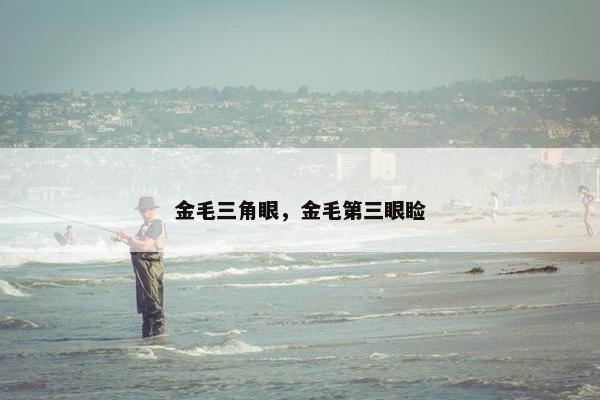 金毛三角眼，金毛第三眼睑