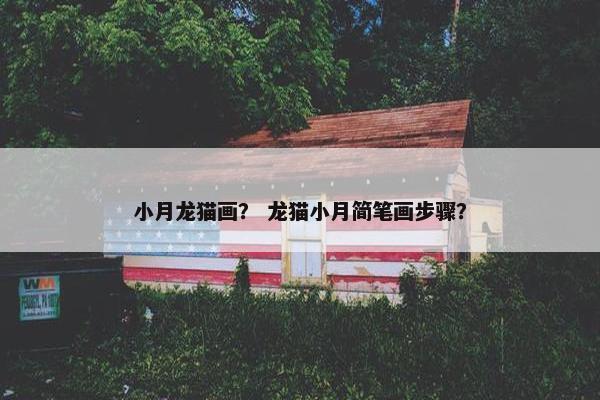 小月龙猫画？ 龙猫小月简笔画步骤？