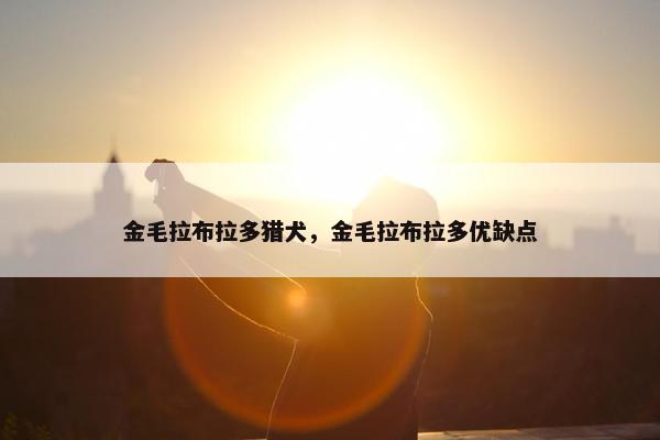 金毛拉布拉多猎犬，金毛拉布拉多优缺点