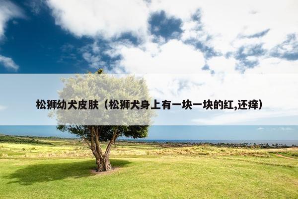 松狮幼犬皮肤（松狮犬身上有一块一块的红,还痒）