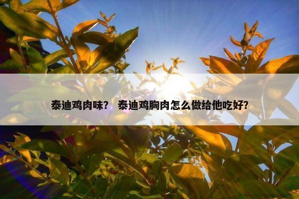 泰迪 第20页