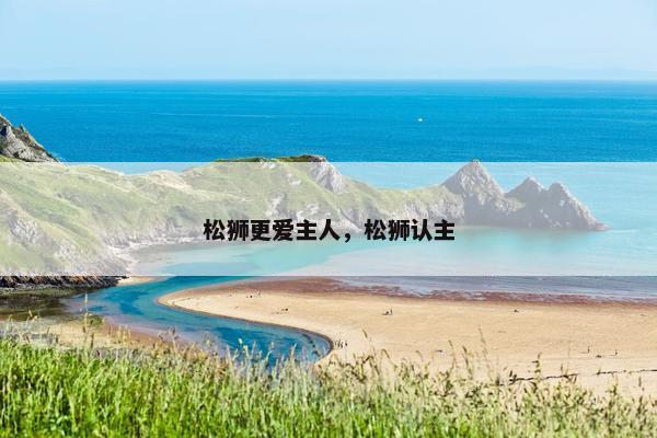 松狮更爱主人，松狮认主