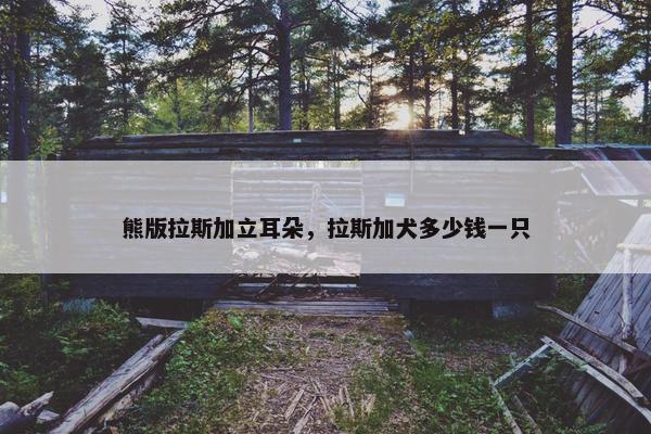 熊版拉斯加立耳朵，拉斯加犬多少钱一只