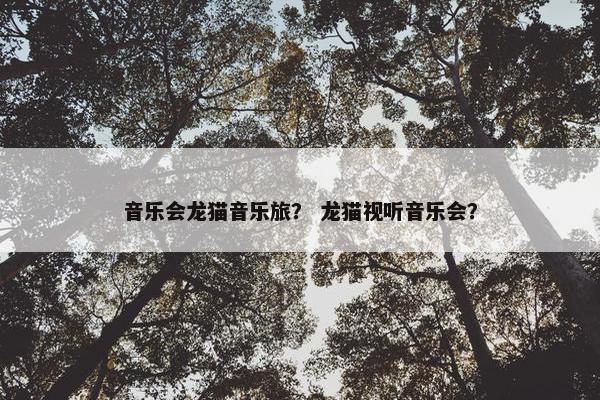音乐会龙猫音乐旅？ 龙猫视听音乐会？