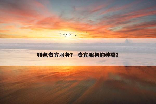 特色贵宾服务？ 贵宾服务的种类？