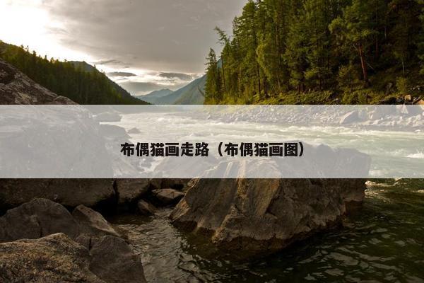布偶猫画走路（布偶猫画图）