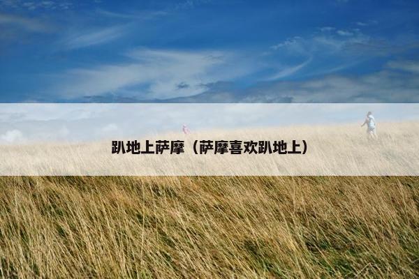 趴地上萨摩（萨摩喜欢趴地上）