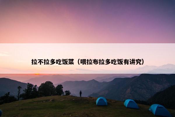 拉不拉多吃饭菜（喂拉布拉多吃饭有讲究）