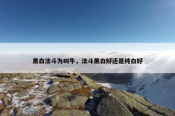 黑白法斗为叫牛，法斗黑白好还是纯白好