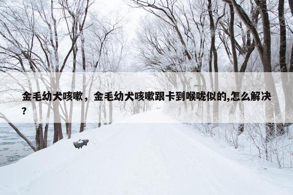 金毛 第10页