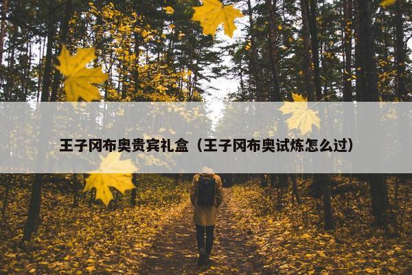 王子冈布奥贵宾礼盒（王子冈布奥试炼怎么过）