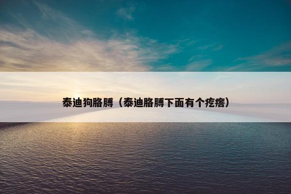 泰迪狗胳膊（泰迪胳膊下面有个疙瘩）